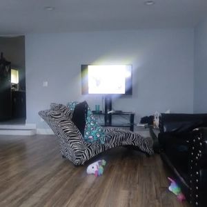 Meet your Posher, Hershel